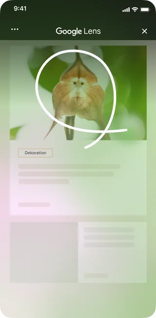 Auf einer Website mit Blumenbild öffnet eine Person auf einem iPhone die Seitentools und wählt „Bildschirmsuche“ aus.