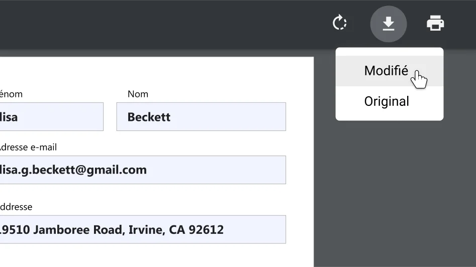 Fenêtre du navigateur Chrome avec un document PDF ouvert et un zoom avant sur le menu des options de téléchargement et d'impression.