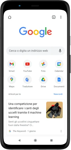 Telefono Pixel 4 XL con l'indirizzo Google.com visualizzato sullo schermo.